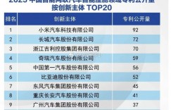 【波多野结衣】小米汽车座舱与电机专利进入国内前三 仅次于这两家【大发体育】