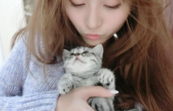 【波多野结衣】爆乳皮卡丘「S級車頭燈」又瘦又胸狠！看一眼就讓人上癮的魔鬼身材…【大发体育】