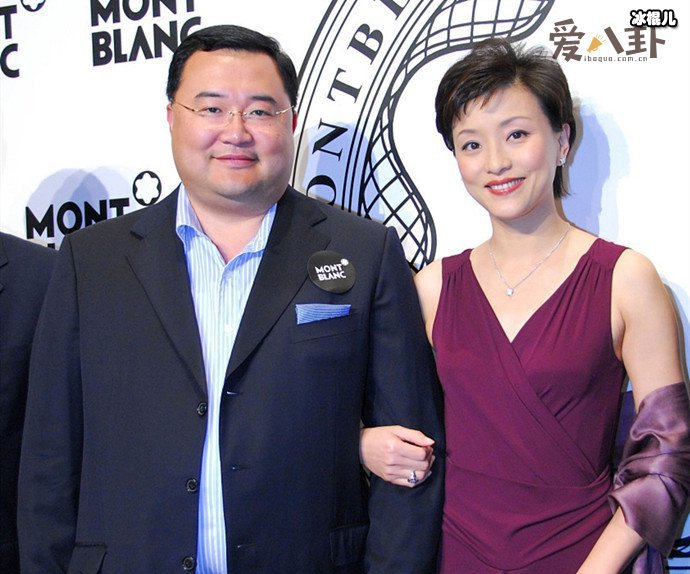 杨澜两段婚姻起底, 杨澜抛弃前夫嫁现任是为何呢?