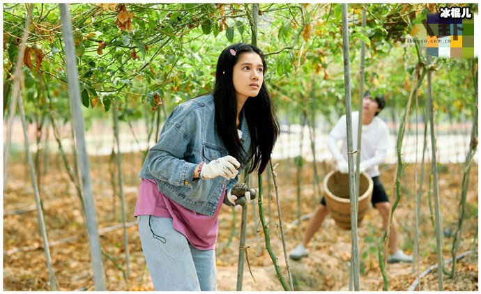 张婧仪家境怎么样? 起底张婧仪的家世背景及出道经历