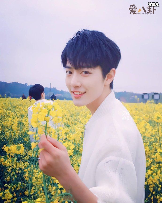 天天向上肖战是哪期?肖战王一博同台嘉宾