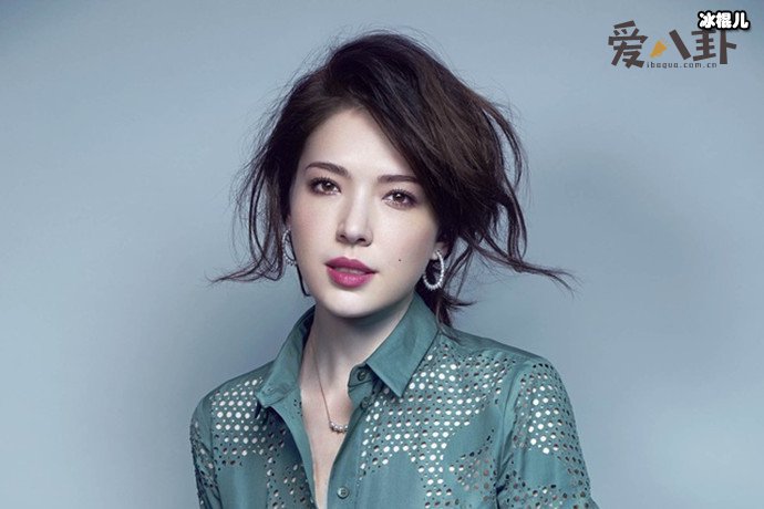 许玮宁疑闪嫁刘又年, 刘又年背景资料吓人!