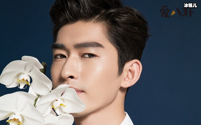 郑爽否认与张翰复合, 郑爽回应粉丝太暖心!