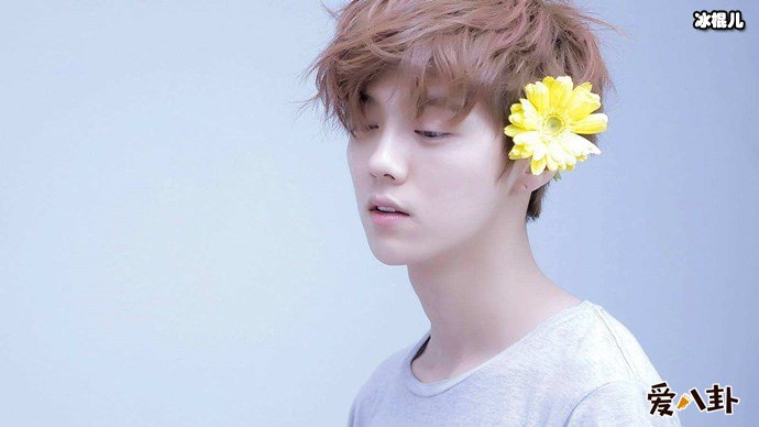 关晓彤跟鹿晗分手, 鹿晗被嘲讽关晓彤当众怒怼女星