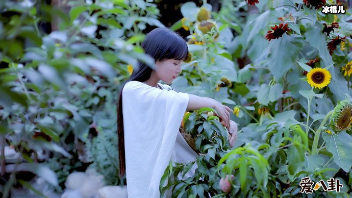 李子柒为何会火?如今也是自媒体时代最耀眼的存在!