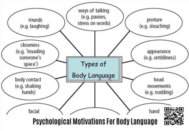 【EV扑克】《卡罗的马脚大全》精华内容总结,一篇文章读懂一本书!