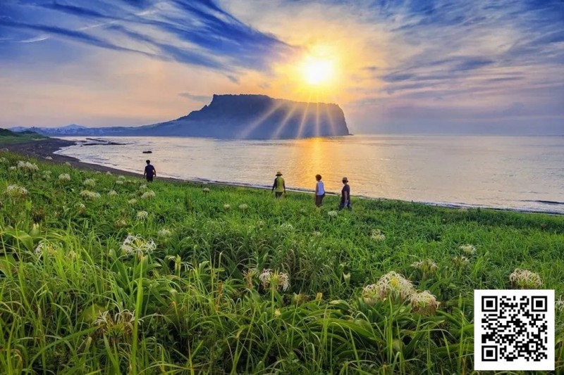 【EV扑克】别Till，来Jeju Chill——必去景点+路线打包+管家制定