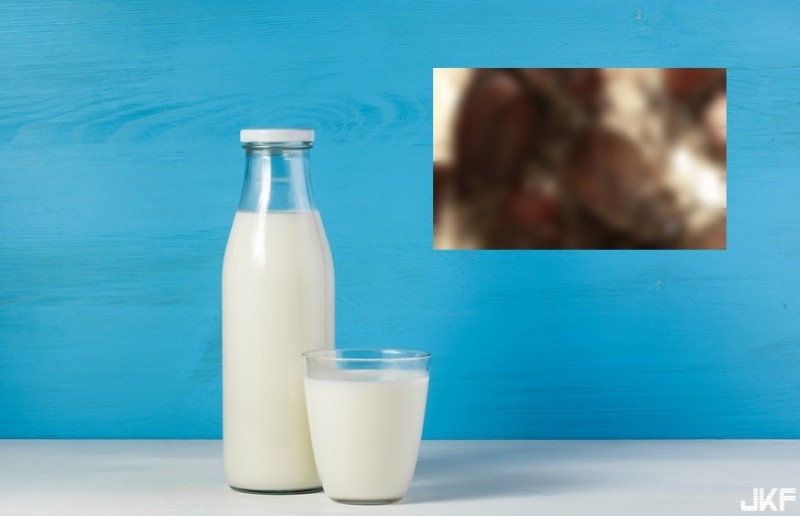 超營養「蟑螂奶」！能量是牛奶3倍 你敢喝嗎？