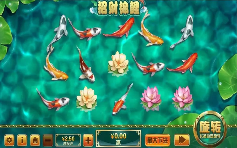 大发娱乐全新力作 —— 招财锦鲤，带你畅游好运与财富